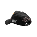 Dandy Sad Boyz Como Jordan Hat