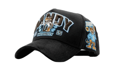 Dandy University Snapback Hat